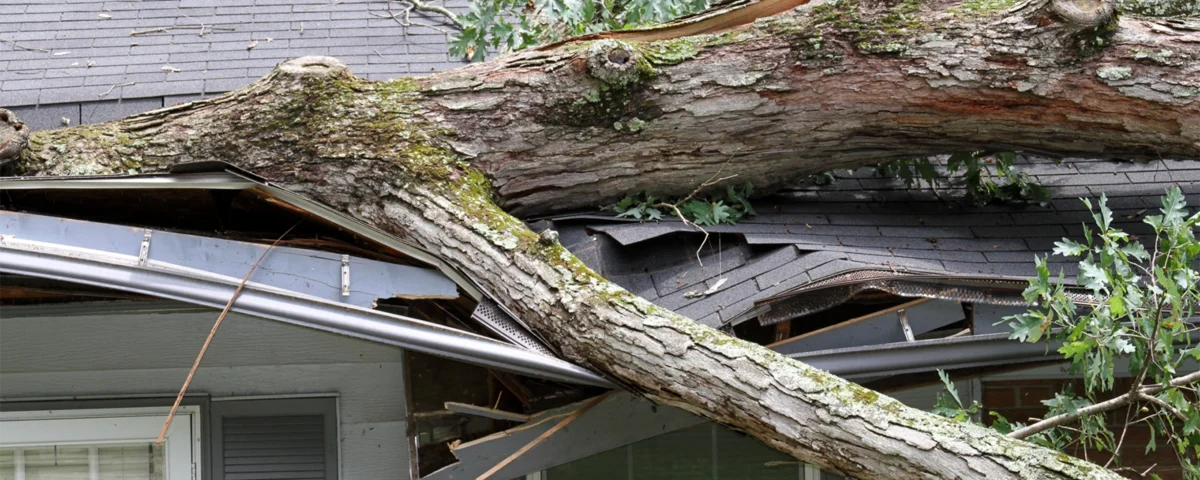 will be wind damage covered by insurance